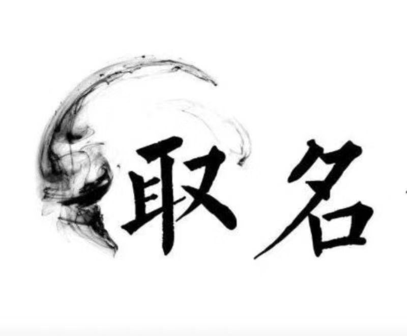  平坝宝宝取名 大师一对一人工起名